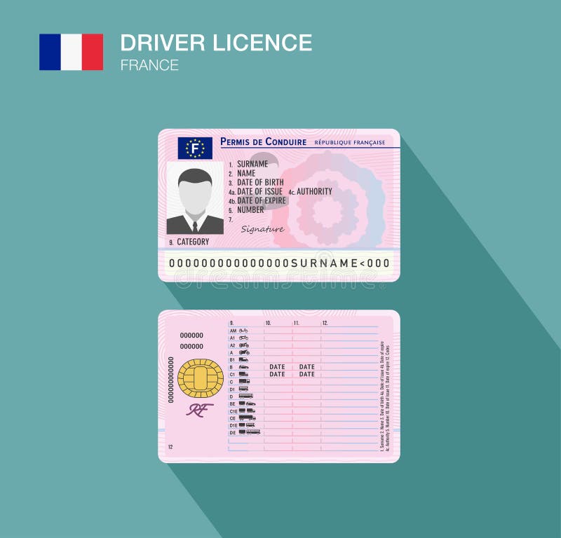 French Car Driver License Identification. Flat Vector Illustration