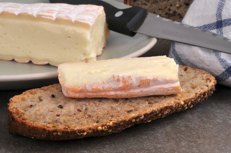 French Cheese Vieux Pané on Slice of Bread Stock Photo Image of
