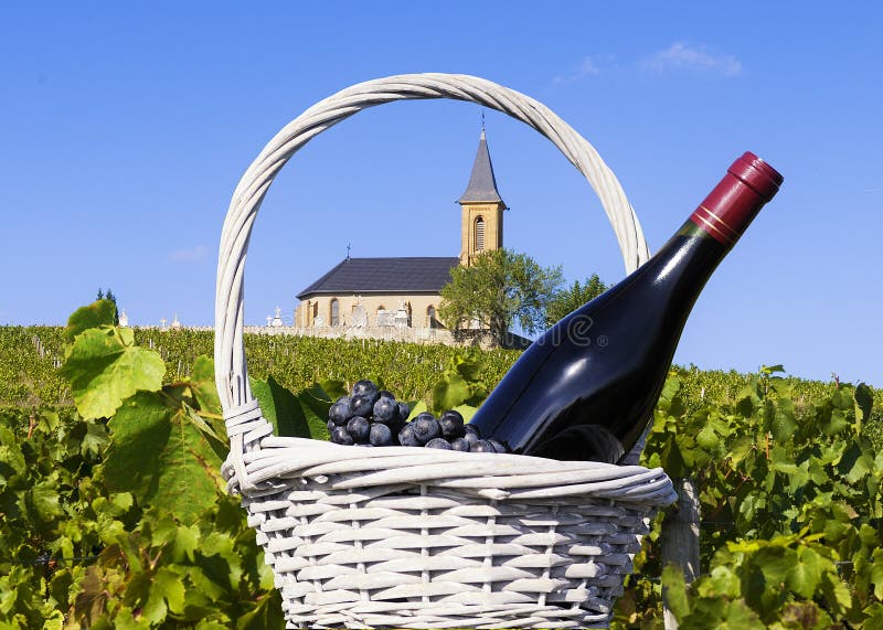 French country and vineyards stock photography French country and vineyards stock photography