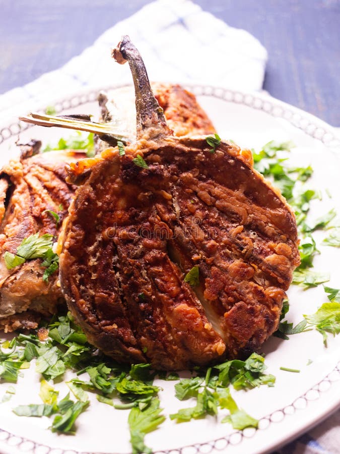 French Fried Eggplant Rounds on a Gray Plate Stock Image Image of