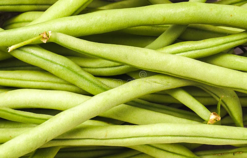 French Green Beans, Haricots Verts Stock Image Image of string