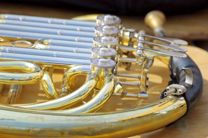 French Horn stock photo. Image of music, musical, polished 34026994