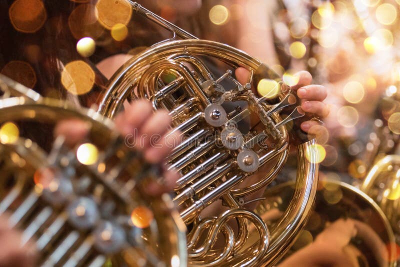 French Horn during a Classical Concert Music Stock Photo Image of