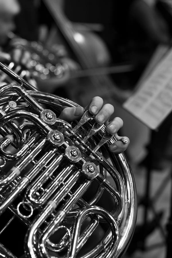 613 French Horn Black White Stock Photos Free & RoyaltyFree Stock