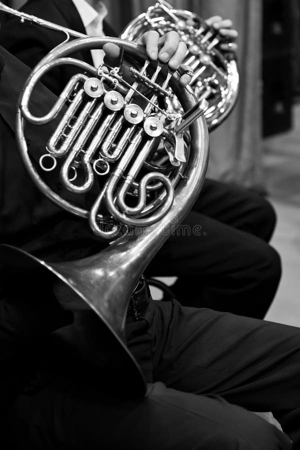 French Horn in the Hands of a Musician Stock Image Image of hand