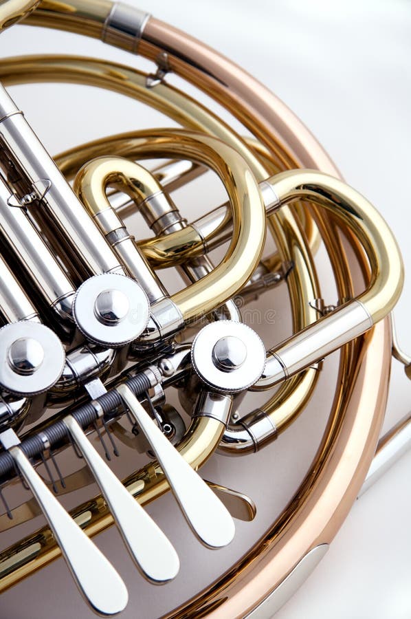 French Horn Isolated on White Stock Image Image of tone, musician
