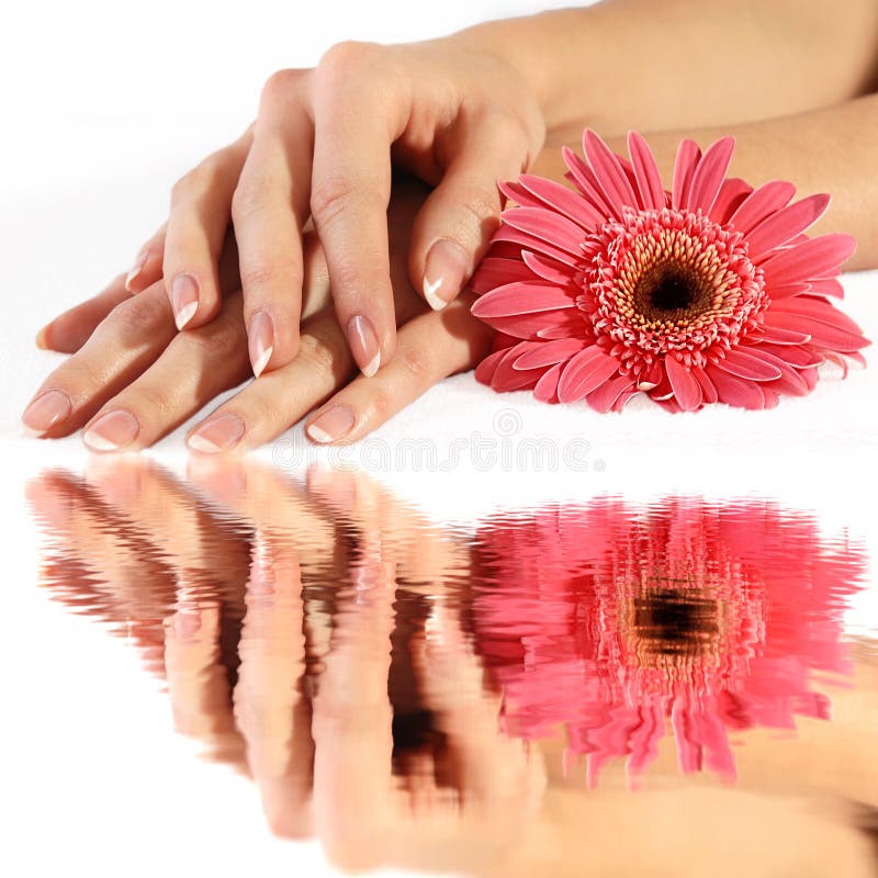 French manicure with flower in reflection stock photo French manicure with flower in reflection stock photo