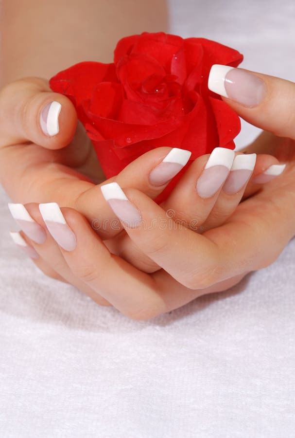 French manicure and scarlet rose