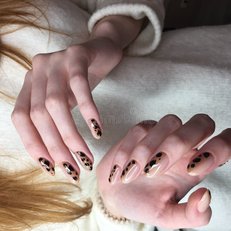 French Manicure on Women& X27;s Thick Handles with Leopard Design Stock  Photo - Image of freshcolored, trends: 165897388