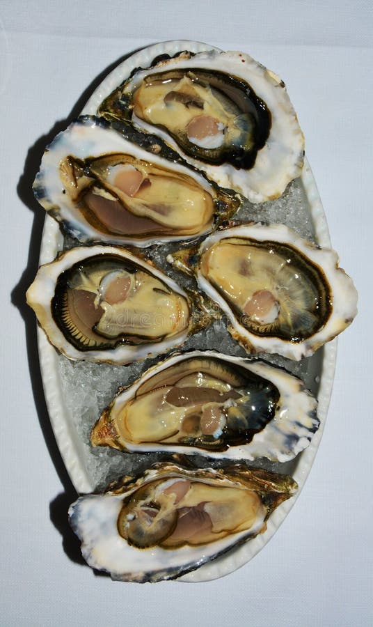 Aphrodisiac Oyster stock image. Image of intimate, food 11366199