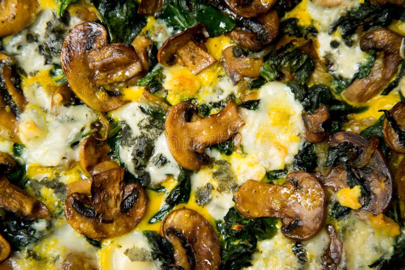 French Quiche with Egg, Vegetables and Mushrooms. Stock Image Image