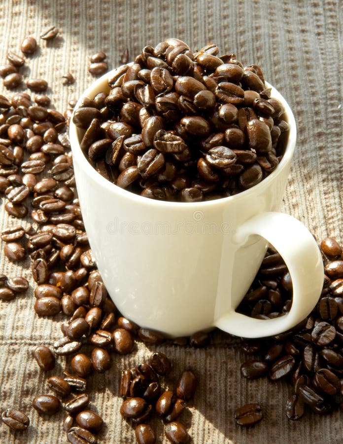 French roast coffee beans stock image. Image of dark, beans 8495987