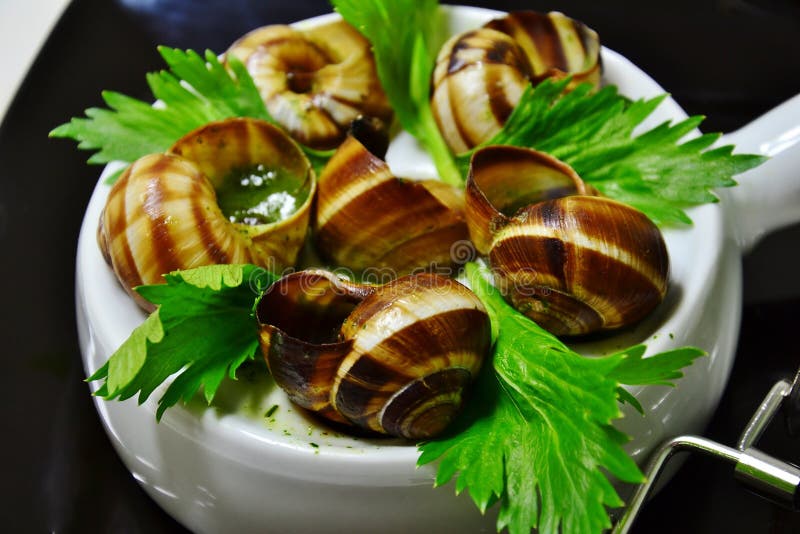French Snails Stock Photo Image 49920887