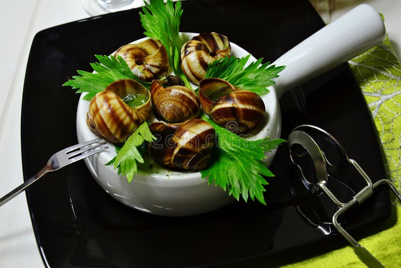 French snails stock photo. Image of fork, french, snails 49921320