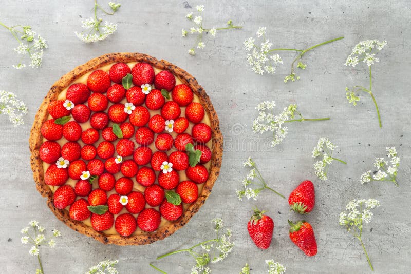 French strawberry tart with wild strawberry leaves and flowers on a grey background spread with wild white flowers. Flat Lay royalty free stock image French strawberry tart with wild strawberry leaves and flowers on a grey background spread with wild white flowers. Flat Lay royalty free stock image