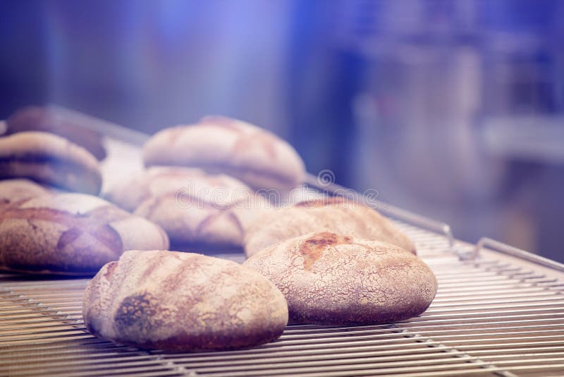 French Traditional Breads Closeup Stock Photo Image of gourmet
