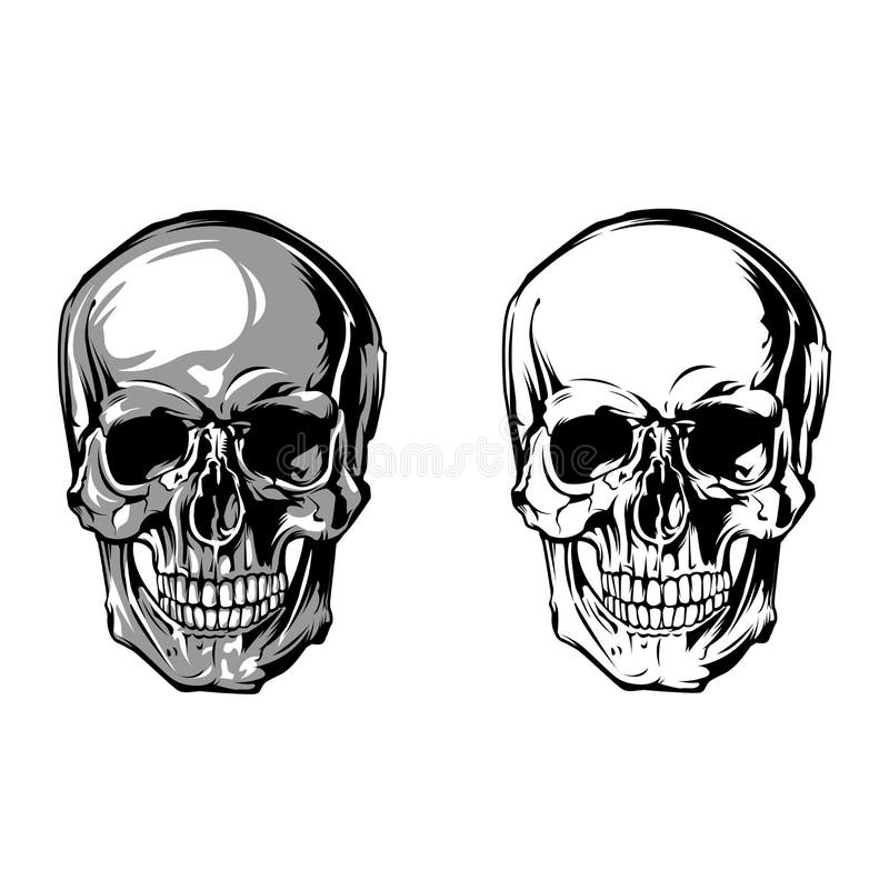 Frente de la anatomía del cráneo en el fondo blanco stock de ilustración Frente de la anatomía del cráneo en el fondo blanco stock de ilustración