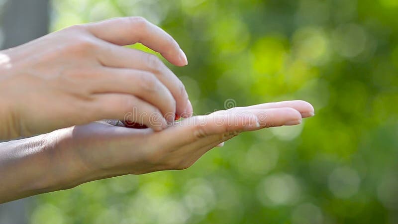 Fresa madura de las bayas en la palma de una muchacha