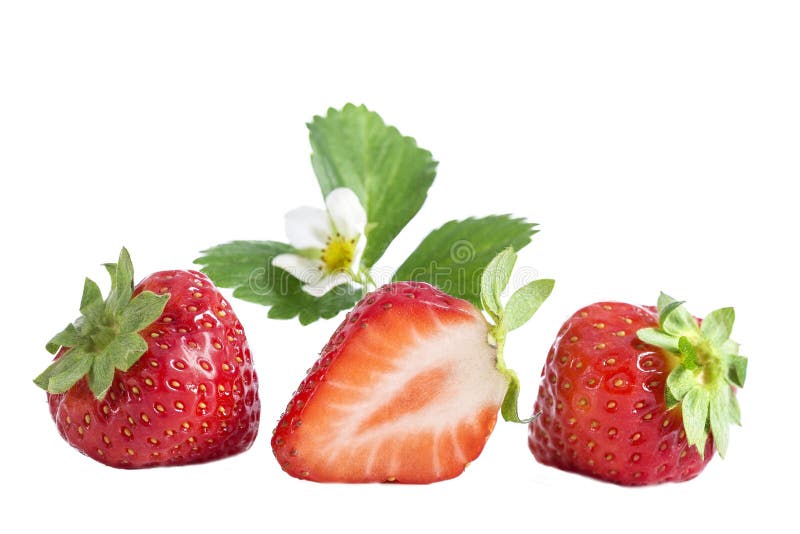 Fresas aisladas Tres frutas de la fresa, una cortaron por la mitad con la flor aislada en el fondo blanco imagenes de archivo Fresas aisladas Tres frutas de la fresa, una cortaron por la mitad con la flor aislada en el fondo blanco imagenes de archivo