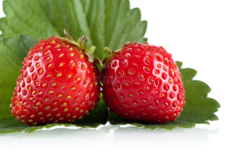 Fresas Enteras Con Las Hojas En Un Blanco Imagen de archivo Imagen de