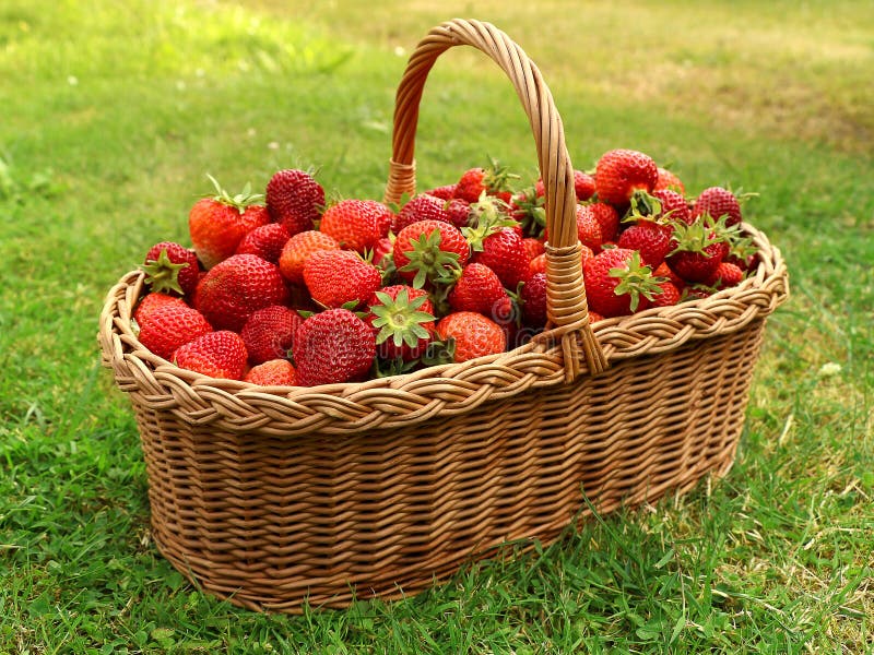 Fresas frescas en cesta