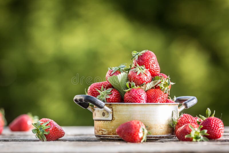 Fresas maduras frescas en pote de la cocina del vintage en la tabla vieja del jard?n fotografía de archivo Fresas maduras frescas en pote de la cocina del vintage en la tabla vieja del jard?n fotografía de archivo