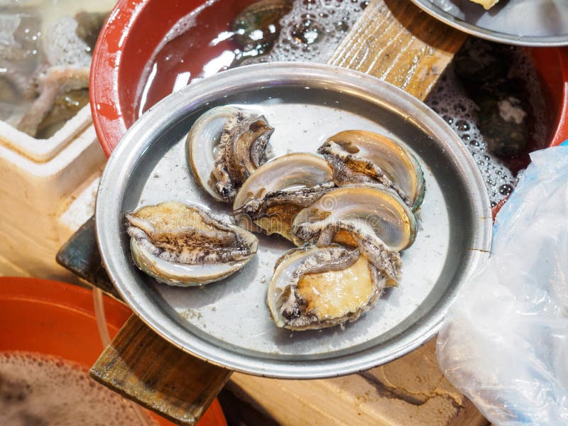 Abalone Dish at Restaurant stock image. Image of luxury 15495143