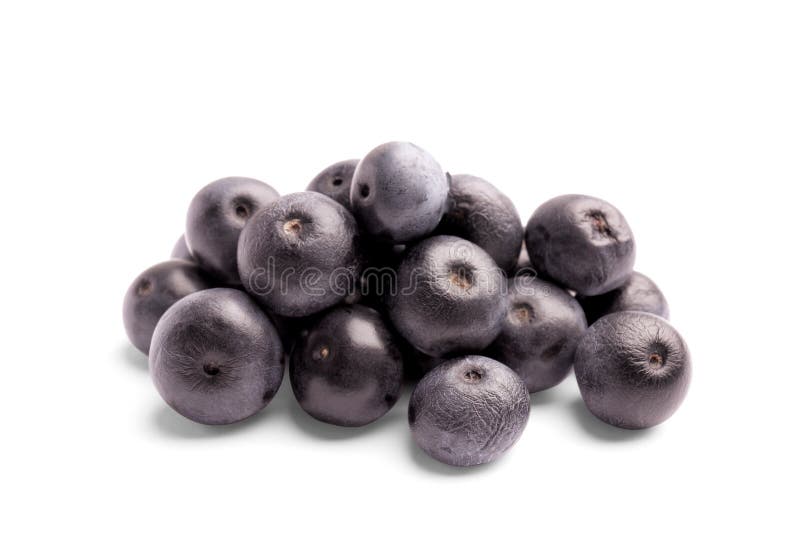 Fresh acai berries royalty free stock photos Fresh acai berries royalty free stock photos