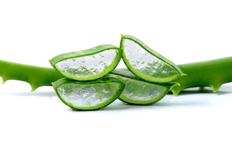 2 517 Aloe Vera Leaves Isolated White Background Photos Free Royalty Free Stock Photos From Dreamstime