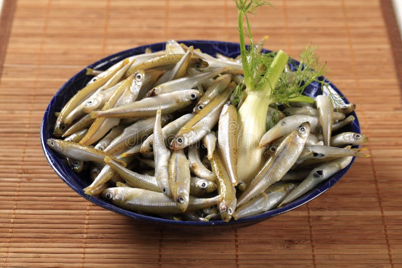 Fresh Anchovies And A Copy Space. Stock Photo Image of dieting