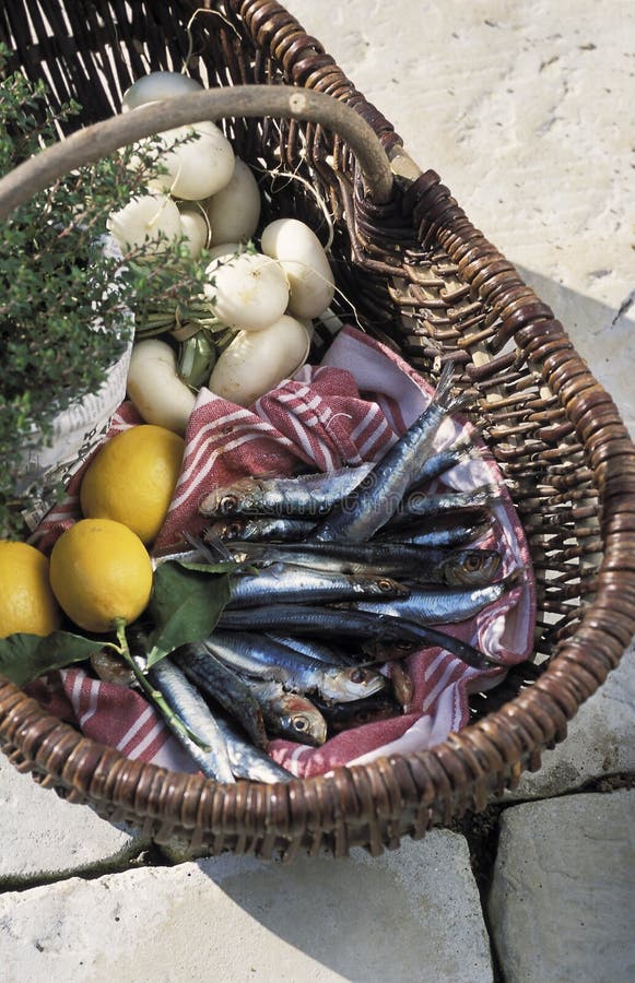 Fresh anchovies stock photo. Image of dish, turnip, herb 23706526