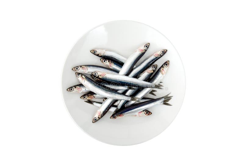 Fresh anchovies in the plat stock images Fresh anchovies in the plat stock images