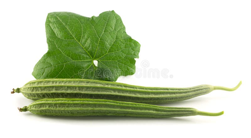 Five pieces of ridge gourd green vegetable on white background in studio  food, Stock Photo, Picture And Rights Managed Image. Pic. DPA-ADC-71110 |  agefotostock