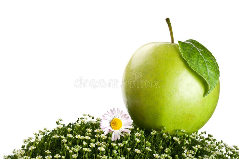 Fresh apple on a green grass
