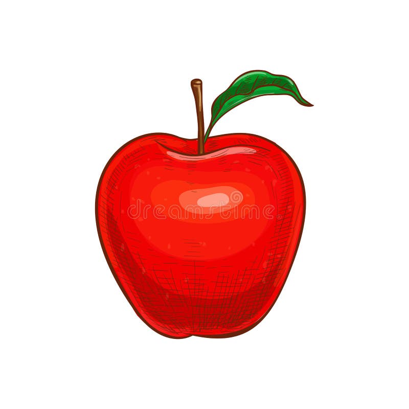 Vector Sketch Red Apple Stock Illustrations – 3,714 Vector Sketch