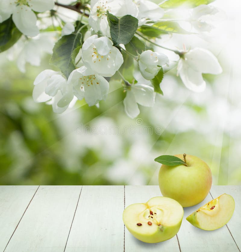 Fresh Apples, Green Leaves, Spring Flowers royalty free stock images
