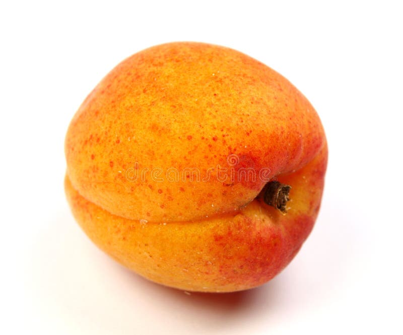 Fresh apricot stock photo. Image of white, natural, life 10555042