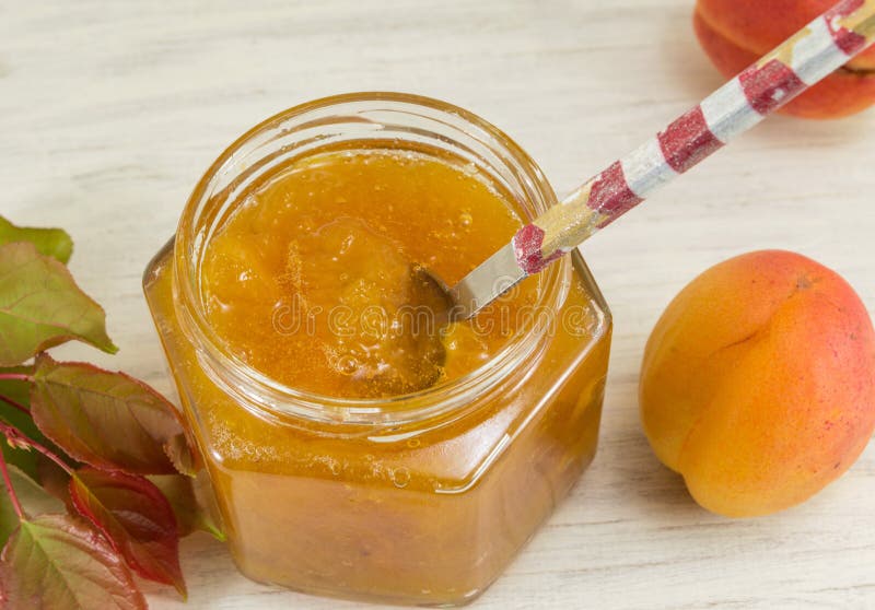 Fresh Apricot Fruit Jam with Leaves Stock Photo Image of nature, leaf