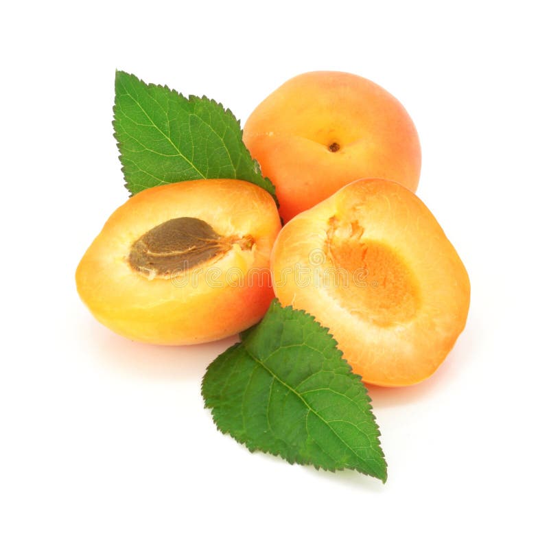 Fresh apricot fruits cut isolated