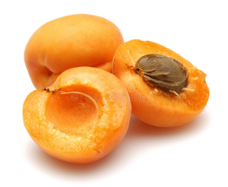Fresh Apricot Fruits Isolated On White Stock Photo Image of food