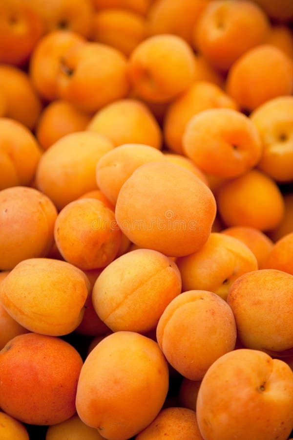 Apricots stock photo. Image of selling, stall, lots, juicy 12525432