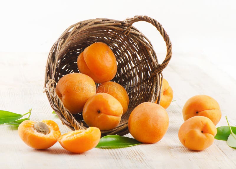 Fresh Apricots in the Basket Stock Image Image of green, wicker 25777587