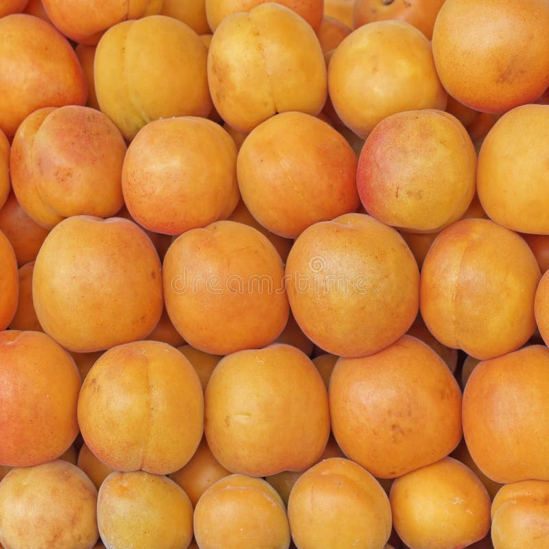 Organic Apricots Top View, Natural Background Stock Image Image of