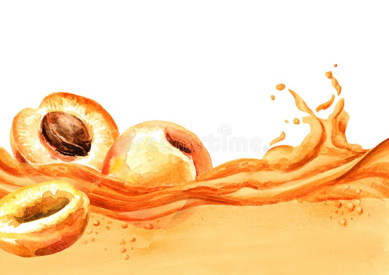 Fresh apricots on a wave of juice, watercolor hand drawn illustration stock photos Fresh apricots on a wave of juice, watercolor hand drawn illustration stock photos