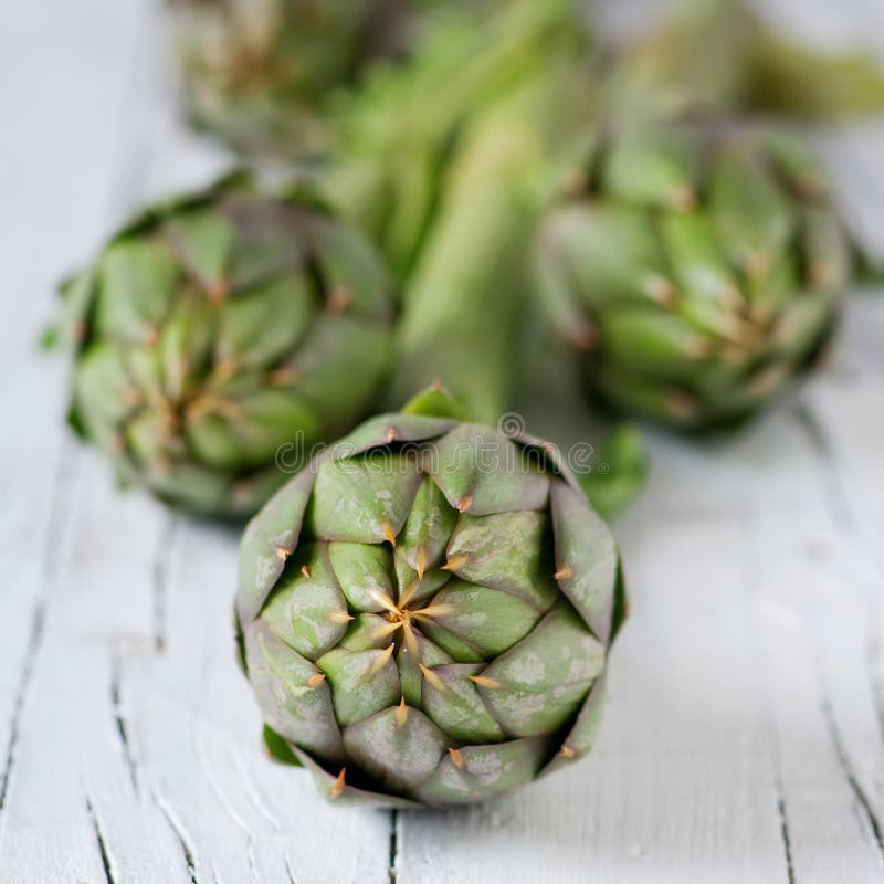 Fresh artichoke stock image. Image of nutrition, macro 36017915