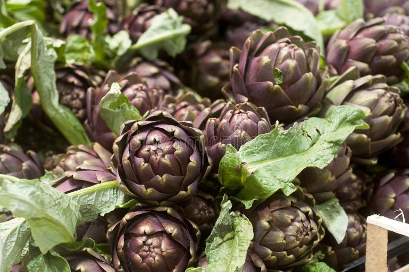 Artichoke close up stock image. Image of edible, heap 66341729