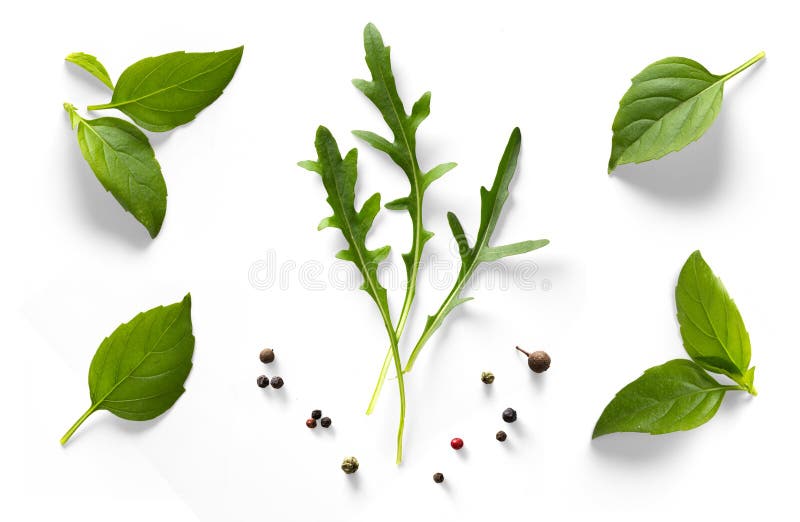 Collection of dried leaves isolated on transparent background. ai