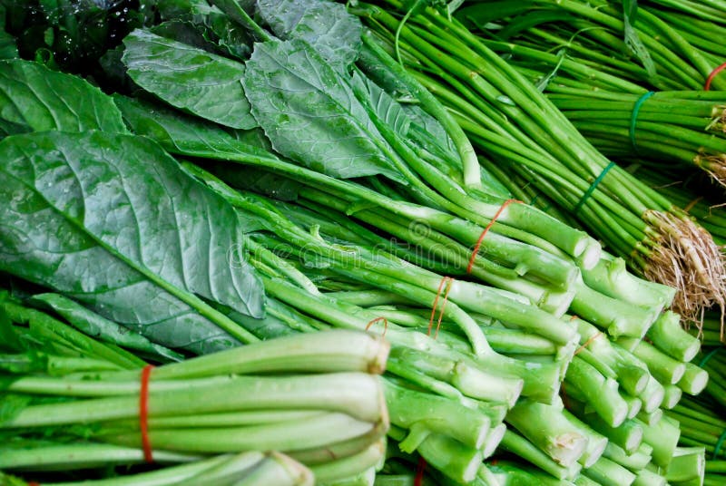 Fresh Asian Kale Lettuce in Market Stock Photo Image of foliage