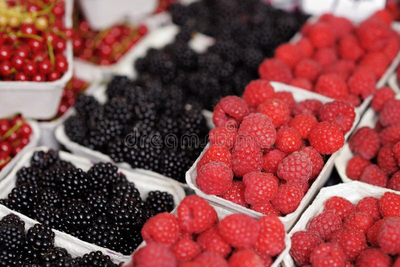 Berries at the Farmers Market Stock Image Image of grown, grapes