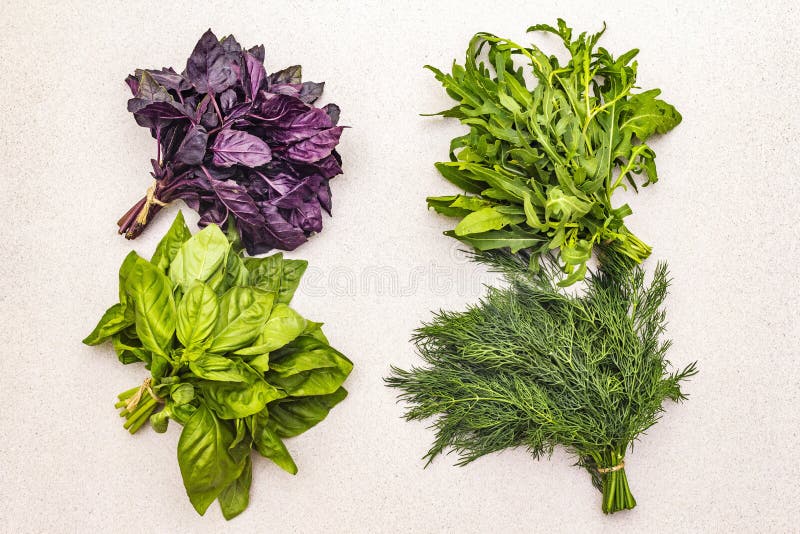 Fresh assorted herbs: basil, arugula, dill royalty free stock images Fresh assorted herbs: basil, arugula, dill royalty free stock images